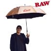 Picture of RAW CONEBRELLA